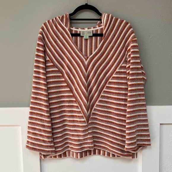 Saturday Sunday by Anthropologie Chenille Striped Hoodie - Picture 2 of 7